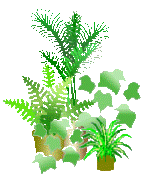 ビリーフチェンジ ビリーフチェンジ